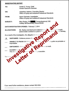 investigative report