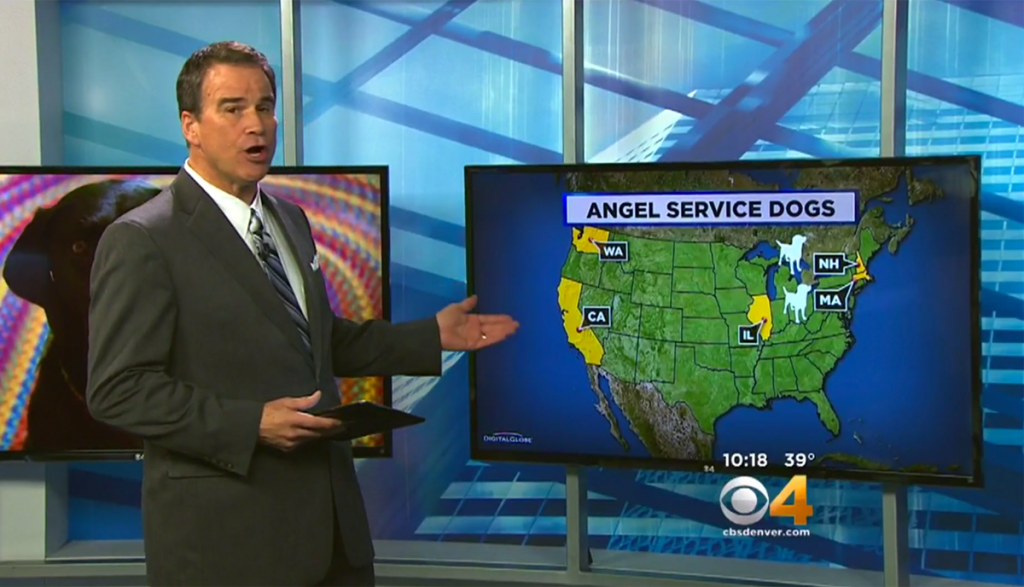 17K Allergy Service Dog Can't Identify Peanuts