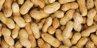 Peanuts