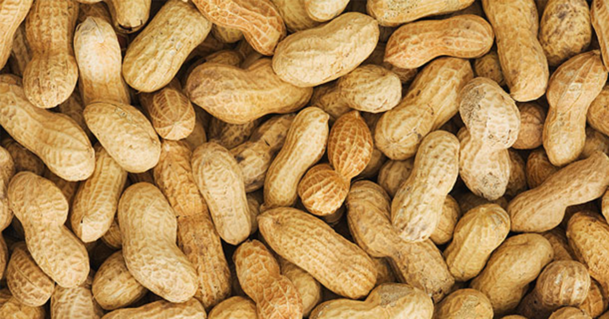 Peanuts