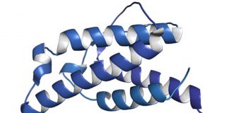 Interleukin-4