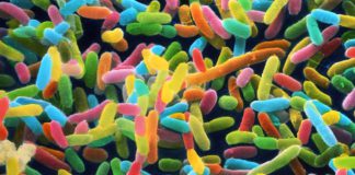 Microbiome