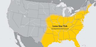 CDC Lone Star Tick Map
