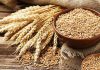 FASTER Act of 2026 Introduced to Target Hidden Gluten Sources in Food Labels Wheat