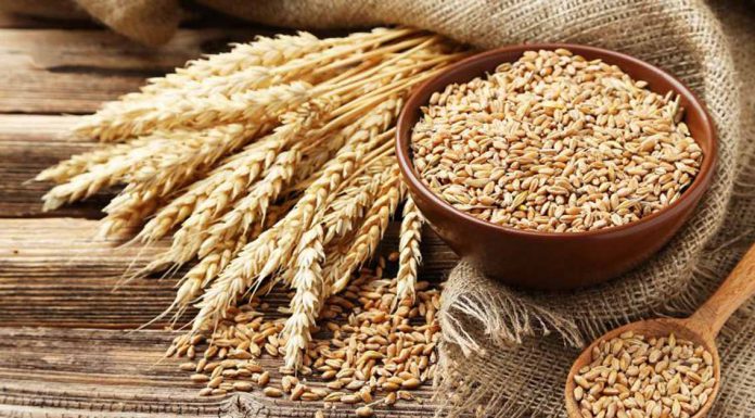 FASTER Act of 2026 Introduced to Target Hidden Gluten Sources in Food Labels Wheat