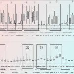 Epitope Mapping