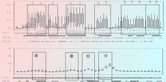 Epitope Mapping