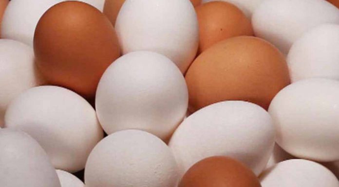 Eggs