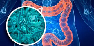 Gut Microbiome