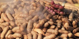 Boiled Peanuts