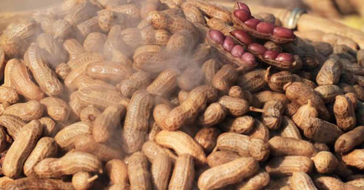 Boiled Peanuts