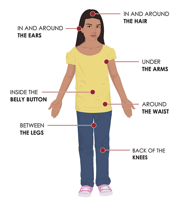 Tick Check Areas