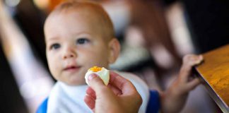 Toddler eating egg