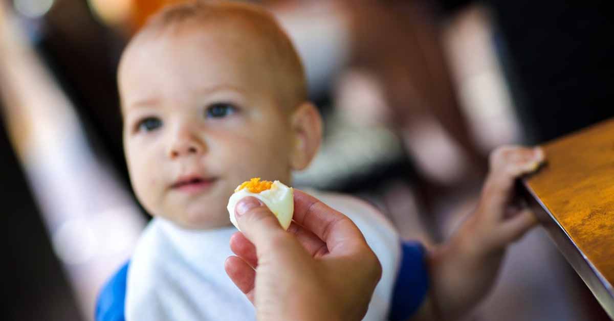 Toddler eating egg