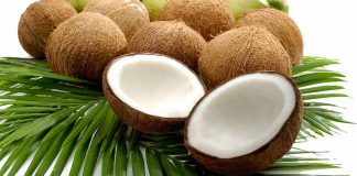 Coconuts