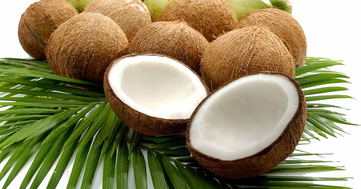 coconut-coalition-launches-initiative-to-remove-coconut-from-the-fda