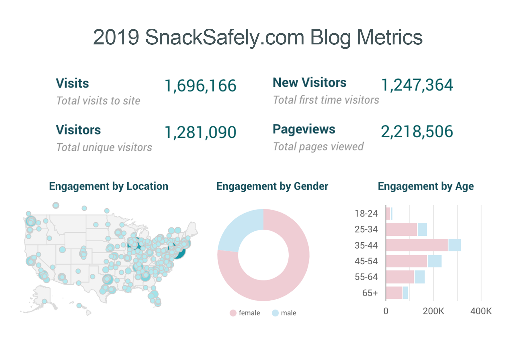 2019 blog metrics snacksafely