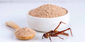 Cricket Flour