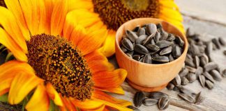 Sunflower Seeds