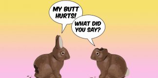 Chocolate Bunnies Chatting