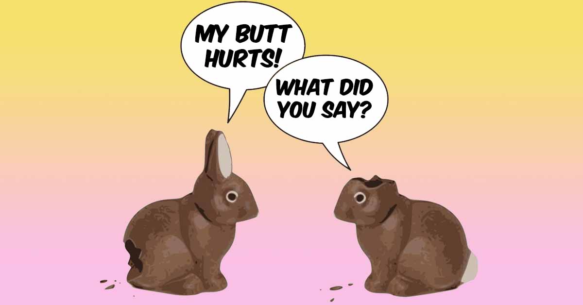 Chocolate Bunnies Chatting