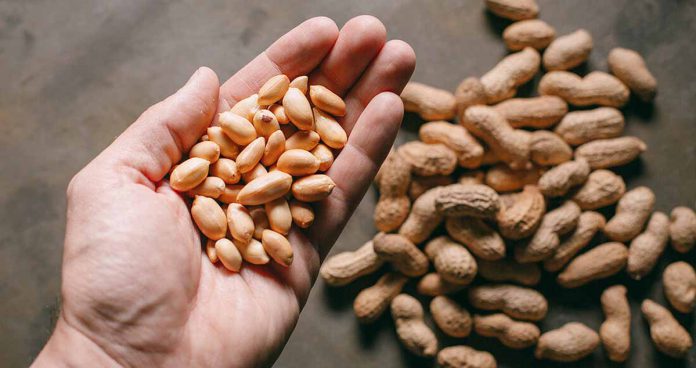 Missouri Man Charged with First Degree Assault for Using Peanuts with ...