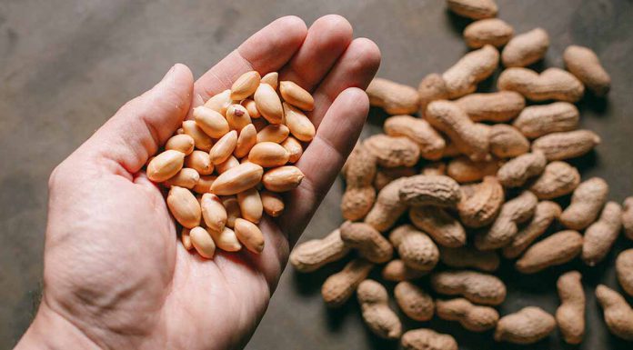 Man Holding Peanuts
