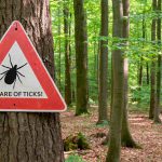 Tick Warning