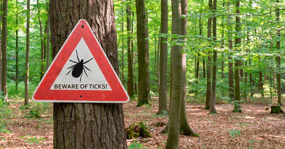 Tick Warning