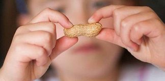 Boy Contemplating a Peanut