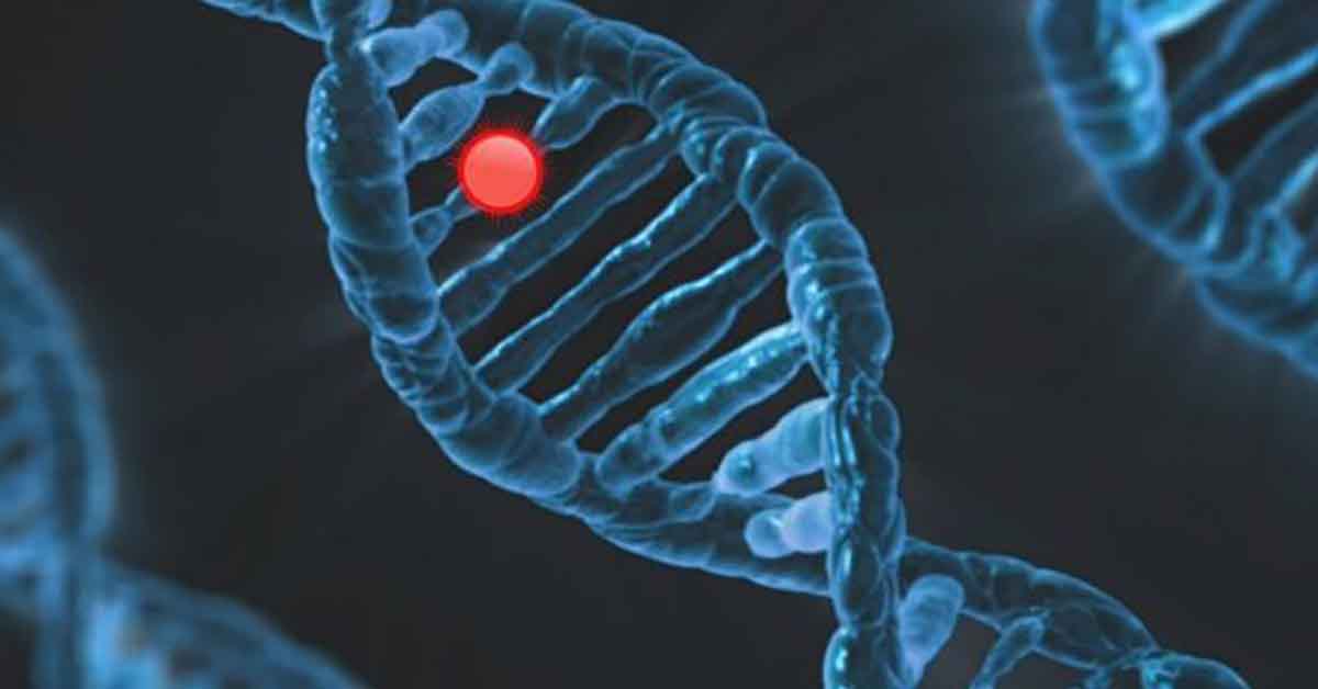 Gene Defect in DNA