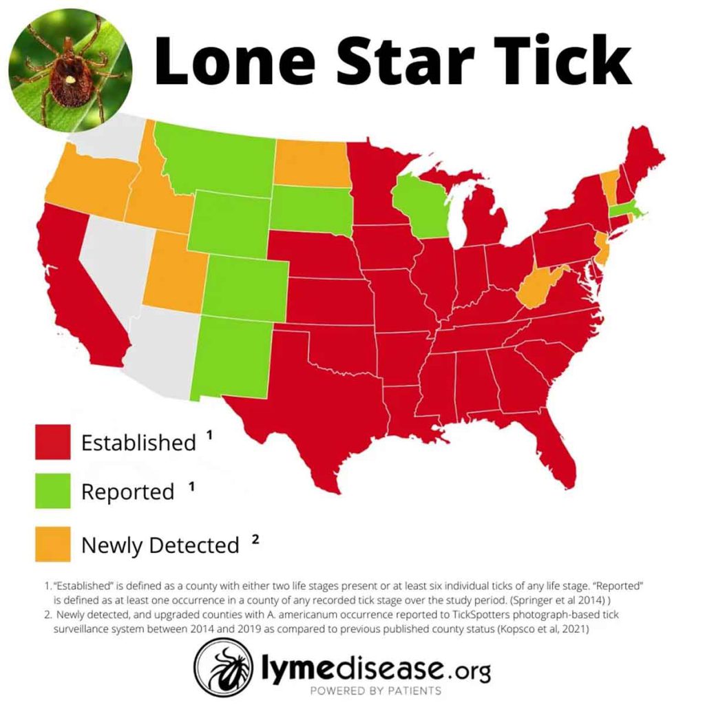 Lone Star Tick That Causes Red Meat Allergy Spotted Nearly Everywhere   Lone Star Tick Map Jpeg 1024x1024 