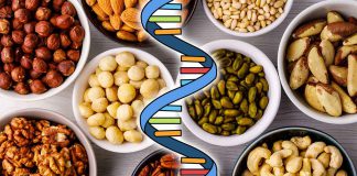 RNA and Tree Nut Allergy