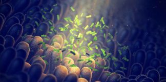 Gut Microbiome