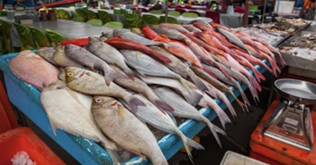 Fish at Market