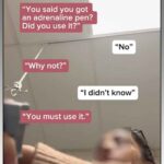 TikTok Excerpt
