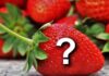 Strawberries Question