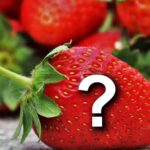Strawberries Question