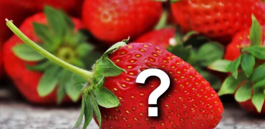 Strawberries Question