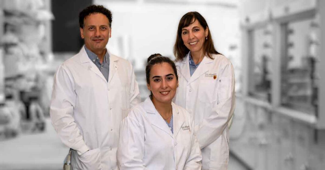 McMaster researchers Tohid Didar, Sara Rahmani and Elena Verdu