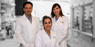 McMaster researchers Tohid Didar, Sara Rahmani and Elena Verdu