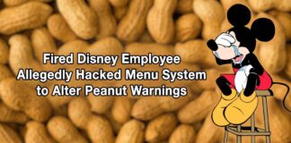 Disney Menu Hack