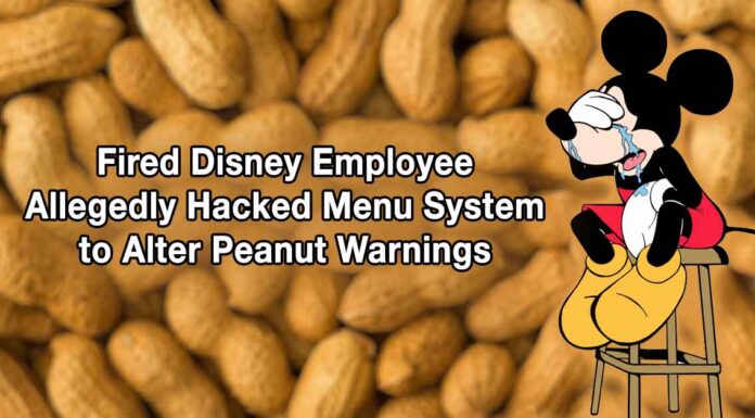 Disney Menu Hack