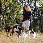 Woman Walking Dogs in Wooded Area