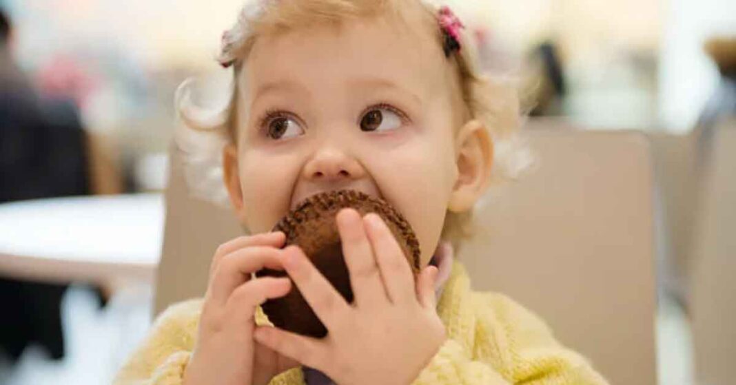 Toddler Eating Muffin