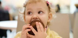 Toddler Eating Muffin