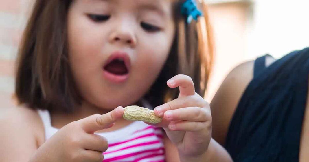 Young Girl Holding Peanut