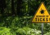 Beyond Lyme: Why Lone Star Ticks and Alpha-Gal Syndrome Are the Next Big Public Health Crisis