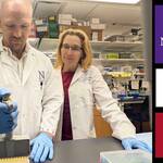 Drs Adam Williams and Stephanie Eisenbarth
