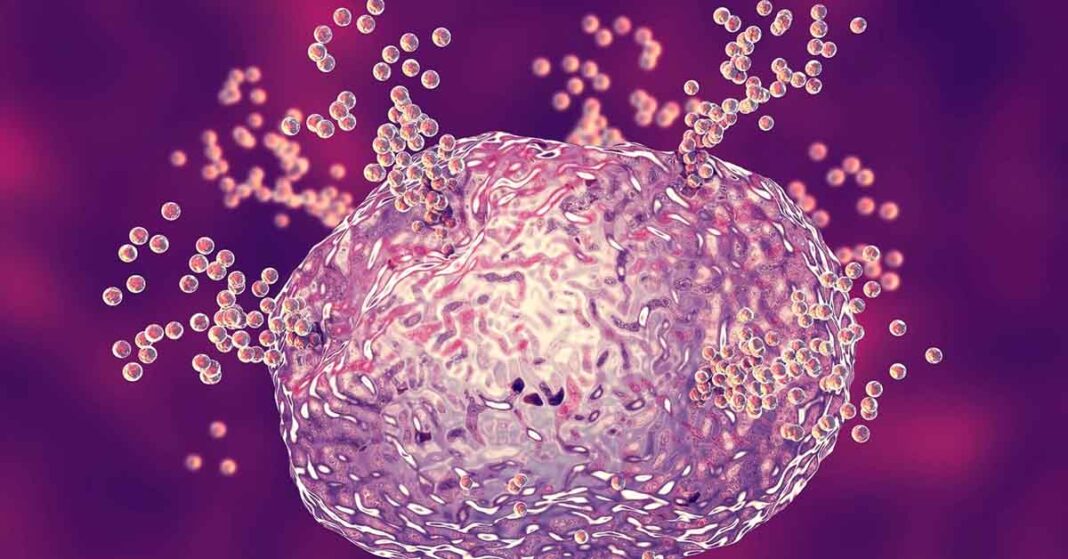 Mast Cell Degranulation